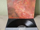 Morbid Angel - Blessed Are The Sick 1st Press LP Earache*Thrash Seraphic Decay