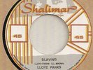 LLOYD PARKS---- SLAVING