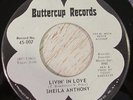 Sheila Anthony 45 BUTTERCUP Livin In Love FUNK NORTHERN SOUL LISTEN