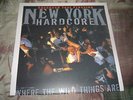 SHEER TERROR TEST PRESSING Breakdown Gorilla Biscuits NYHC  LP Maximum Penalty