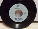 BEATLES 45 INTERVIEW TOM CLAY REMEMBER WE DON'T LIKE THEM IBBB FAN CLUB RARE 64