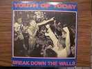 Youth Of Today Break Down The Walls LP RARE 1ST PRESS