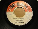 Tony Steer Roots in Roots T Bird Experience Killer  Roots 7