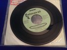 Husker du celebrated summer new day rising sst promo only single 45rpm punk 7