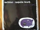 Melvins / Napalm Death Sugar Daddy Split 12