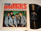 *VG+* ANIMALS 