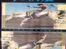 Super Rare Widespread Panic Space Wrangler Lp Nm Phish Grateful Dead 1st Record
