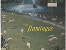 Flamingos - S/T LP - Checker