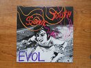 SONIC YOUTH Evol SST Records SST059 Lyric Sheet Alternative Rock LP Vinyl