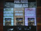 PINK FLOYD ANIMALS THE EXTRACTION TAPES RECORD VINYL LP DIFFERENT VERSIONS RARE