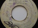 ROY SHIRLEY & MIGHTY VIKINGS / FLYING REGGAE / LISTEN