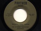 SURF Batman Rides Again   Invisible Burgundy Bullfrog PANTHER LISTEN