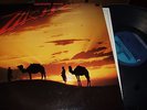 ORIENTAL WIND : ZIKIR JAPAN LP 1980 PADDLE WHEEL K28P 6011 + INSERT