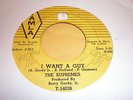 Supremes 45 I Want A Guy TAMLA