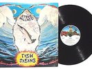 STEVE HILLAGE: Fish Rising LP VIRGIN RECORDS VR13118 US 1975 Inner Sleeve NM