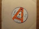 THE BOOTS - The Animal in ME DEMO UK PSYCH 7