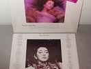 KATE BUSH Hounds Of Love MARBLE VINYL US LP 1985 ST-17171 in Original Shrinkwrap