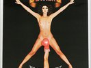 BOXER Below The Belt UK Virgin LP 1975 Mike Patto NUDE Cover  Free Shipping 