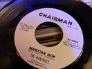 the ran dells forgive me darling MARTIAN HOP do wa , single 7 nmint or mint