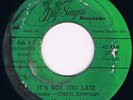 CHERYL JOHNSON It's Not Too Late RARE CHICAGO FUNK X-OVER 45 on BUG SINGERS