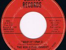 THE NEW ESTABLISHMENT IN SOUL Whip It RARE IOWA FUNK 45 on GRANTS