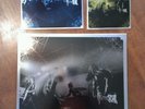 The Dead Weather Sea of Cowards Third Man Records Vault 5 Jack White TMR