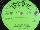 FLOYD LLOYD - Babylon Shall Fall ROOTS REGGAE 12 INCH VINYL Jah Shaka soundclip