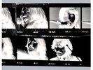 THE BEATLES - LET IT BE...NAKED 2 VINYL LP 24 TRACKS BEAT POP/ROCK 'N' ROLL NEW