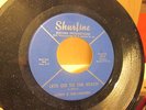 Larry and the Loafers Let's go to the Beach garage 45 on Shurfine mp3