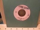 The Mor-loks There Goes Life moody folk jangle on Living Legend mp3