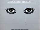 CERAMIC HELLO The Absense of a Canary LP NEW VINYL Suction Synthwave Minimal