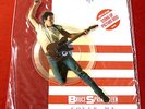 BRUCE SPRINGSTEEN - Cover Me - UK Shaped Picture Disc with Plinth & sticker