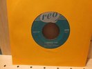 M.G. & The Escorts a Someday Fool Canadian garage 45 on Reo mp3