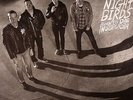 NIGHT BIRDS - Born To Die In Suburbia - LP