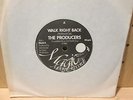 The Producers All the Rage power pop UK 45 on Moon mp3
