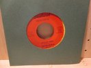 Rhythm Rebels Littlest Hobo frantic farfisa instrumental on Sunburst mp3