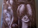 LP  SHIVER -Walpurgis- MERRY-GO-ROUND RECORDS BMRL 1003