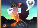NICK DRAKE 