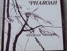 Pharoah Sanders - Pharoah LP - 1977 avant-garde jazz on India Navigation - VG