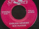 ROY PANTON - ENDLESS MEMORY - EASTERN ORGAN rare
