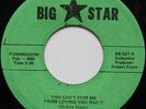 Rare Sweet Soul 45 - Bob Evans Jr - You Can't Stop Me From Loving You - BIG STAR