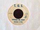 TROJANS OF EVOL Through the Night T.O.E. Rare Indiana Garage 45 BFTG Hear
