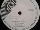 EXPRESS - REBEL MAN - RARE ROOTS