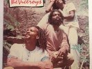 THE VICEROYS Brethren and Sistren Rare Roots Reggae Channel One Roots Radics LP