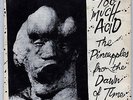 Pineapples From The Dawn Of Time ?– Too Much Acid / Saha 7