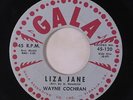 Rare Rockabilly 45 - Wayne Cochran 