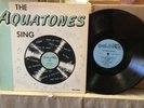 SUPER RARE The Aquatones LP LP-3001 Fargo Records Doo-Wop