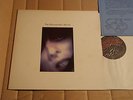 THE HOMOSEXUALS - THE HOMOSEXUALS' RECORD - LP - RR 18 - UK 1984