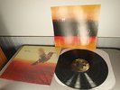 NEW Guster Keep It Together 12