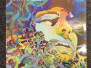 TIM HOLLIER Same 1970 FONTANA UK LP RARE PSYCH FOLK SUPERB